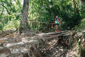 BIB: 
                            <button type="button" onclick="openModal(27800764)" class="btn btn-primary btn-sm float-right btn-popup" data-toggle="modal" data-target=".modal-high-quality">
                        <i class="fas fa-shopping-cart"></i> Add to Cart
                    </button>
                                            <button type="button" onclick="isThisMe(27800764, true)" class="btn btn-success btn-sm float-right btn-popup btn-isme hidden" data-toggle="tooltip" data-placement="bottom" title="นี่คือรูปของคุณใช่ไหม คลิกที่นี่เพื่อเอาเข้าอัลบั้ม">
                        <i class="fas fa-plus"></i> Add to album
                    </button>
                    <button type="button" onclick="isThisMe(27800764, false)" class="btn btn-warning btn-sm float-right btn-popup btn-isnotme hidden">
                        <i class="fas fa-ban"></i> Remove from album
                    </button>